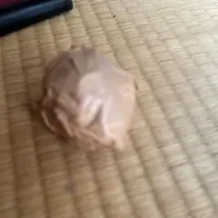 ガムテープボール