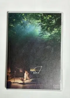 パーフェクトデイズ DVD