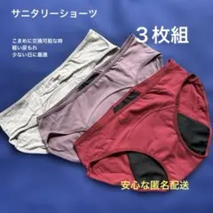 サニタリーショーツ ３枚組 Ｌサイズ