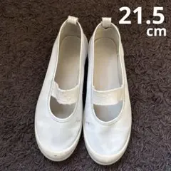 Item thumbnail for item fa5e9a64-02d3-41f2-b89d-3acb8d8c50c4