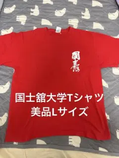 日向坂46 日向坂で会いましょう 小坂の懐入り隊 Tシャツ XXLサイズ
