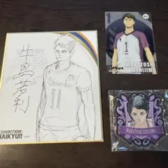 ハイキュー！！　牛島若利セット　色紙　クリアカード　アクリルバッジ