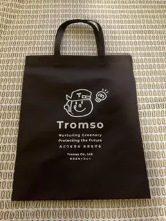 Item thumbnail for item 6ecdf060-0cbf-4f04-829c-11428f1c587e