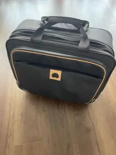 LION BAGS ダブル トランペットケース ネイビー - メルカリ
