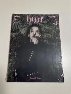 StrayKids スキズ DOIT Accordion バンチャン