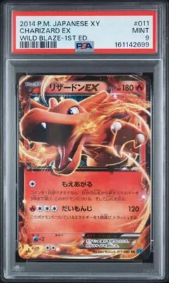 【PSA9】リザードンEX RR XY2 ワイルドブレイズ 011