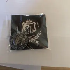 Item thumbnail for item 297e64f3-aed8-4262-9faa-36b13585e162