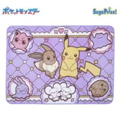ポケモン　プラチナムザッカ　fuwa&hug ブランケット　ピカチュウ&イーブイ