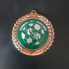 Item thumbnail for item 4f780a8b-64bd-4b3f-93c9-5a033ef2e408