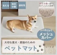 ホルミー ペットマット ピンクorブルー ホルミシス 2枚セット - メルカリ
