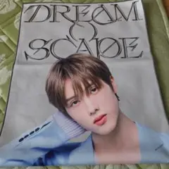 NCT DREAM チソン THE DREAM SHOW 3 スローガン タオル