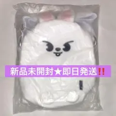 StrayKids リノ RUN IT リービット マルチポシェット　公式品