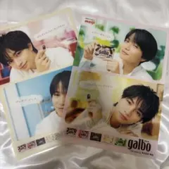 ガルボ クリアファイル 2枚セット　菊池風磨/中島健人