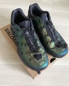 SALOMON xt-whisper VOIDのサムネイル