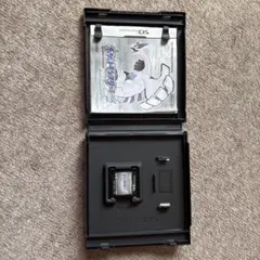 ポケットモンスター　ソウルシルバー