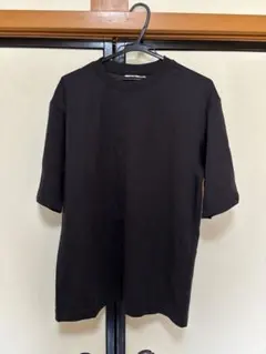 UNIQLO U エアリズムコットンオーバーサイズTシャツ メンズLサイズ