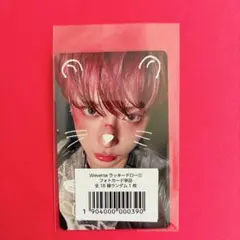 &TEAM back to life weverse ラキドロ 2弾 ハルア