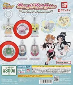 めじるしアクセサリー　プリキュア