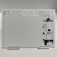 夏野寛子　25時、赤坂で　ネップリ　ブロマイド
