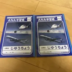 Item thumbnail for item ecd84bb9-49d6-4f3c-be5e-4c9a245ff26f