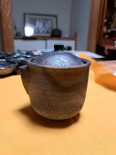 石田安弘 備前焼瓢宝瓶 般若心经人気作者 急須 茶注 煎茶 茶道具 石田安弘 備前焼龍宝瓶 般若心经 人気作者 急須 共箱 共布 茶注