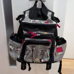 値下げ美品♥ペットパラダイス　スヌーピーリュック