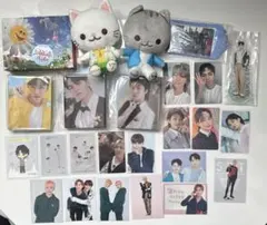 SEVENTEEN ジョンハン バーノン ミンギュ