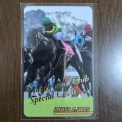 ☆メジロマックイーン(No.704)☆まねき馬倶楽部 特殊SPカード◇9枚限定 ☆メジロマックイーン(No.704)☆まねき馬倶楽部 特殊SPカード◇9