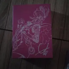 アニメDVD 2枚組 特典付き