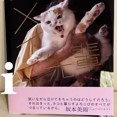 メイ先輩　写真集