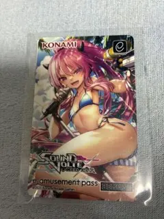 SOUND VOLTEX 水着グレイス e-amusement pass - メルカリ
