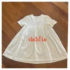 未使用 dahlia anvil別注 切り替え半袖Tシャツのサムネイル