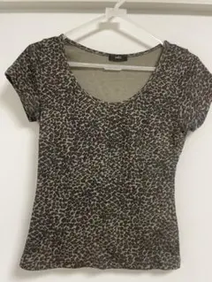 INEDヒョウ柄 半袖 Tシャツ M