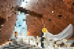 Mirror Mirror ウェディングベール　ロング　80×250