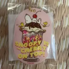 PLAZA限定 非売品 PEANUTS シャカシャカキーホルダー