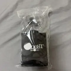 OneST ペンライト 新品未使用