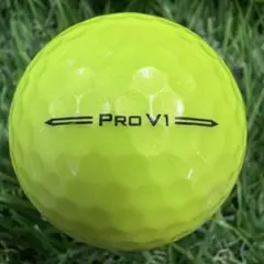 ロストボール⭐︎Titleist Pro V1イエロー⭐︎4459