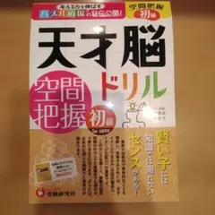 考える力を伸ばすパズル道場の秘伝公開! 天才脳ドリル 空間把握 初級 賢い子に…