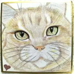 手描きイラスト オリジナル 原画 アナログ 猫