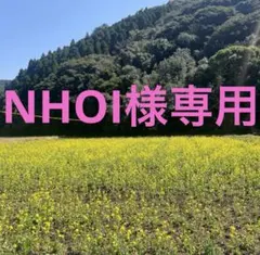 NHOI様専用ページです