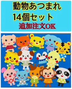 壁面　動物　一年　通年　年間　誕生日表　飾り　春夏秋冬　保育園　幼稚園　施設のサムネイル