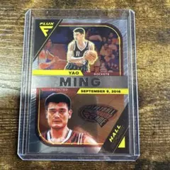 Yao Ming Hall Influx Card