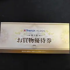 ヤマダ電機 株主優待券 5000円分(500円×10枚)