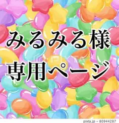 みるみる様専用ページ