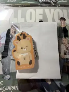 RIIZE 東京ドーム ランダムトイ マグネットアクリルチャーム ソンチャン