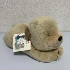 2025年最新】ころわん ぬいぐるみ 絵本の人気アイテム - メルカリ