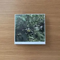 蓮沼執太「pooploop」増田義基 蔭山健介 Shuta Hasunuma