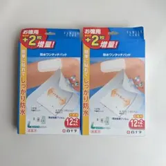 Item thumbnail for item 58e41113-3693-4211-8e0b-a5e4264ee274