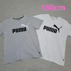 PUMA　プーマ　Tシャツ　2枚セット