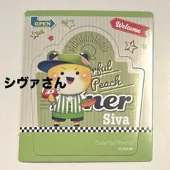 たっつん シヴァ ピンバッジ バラ売り たっつん シヴァ ピンバッジ バラ売り